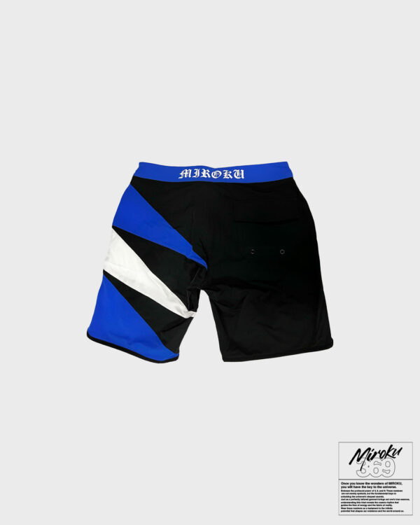 MIROKU Board shorts - 画像 (4)